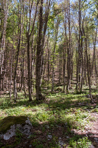 0140-landschap
