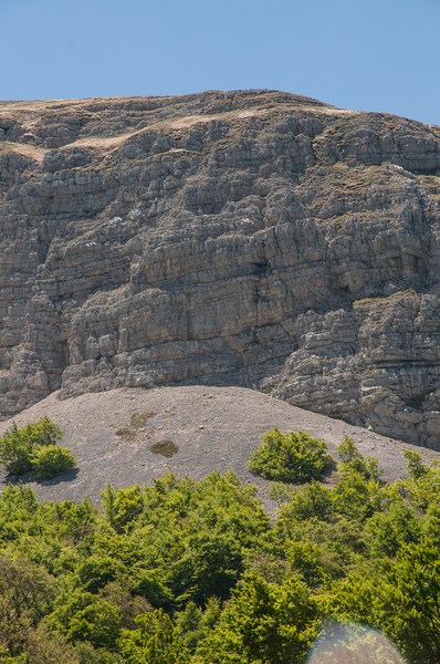 0163-landschap