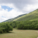 0247-landschap