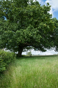 15-landschap