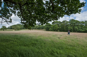 17-landschap