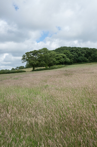 18-landschap