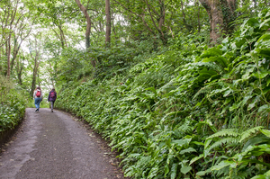 wandeling Dale