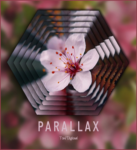 Paralax