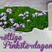 Pinksteren