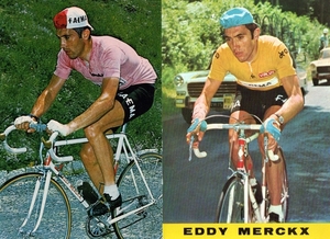 Merckx--