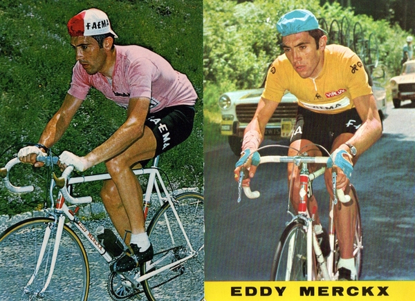 Merckx--