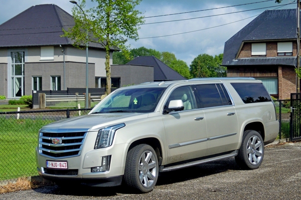 DSCN1311_Cadillac-Eldorado-Escalade-GMTK2XL_seit-2015_V8-6200cc-3