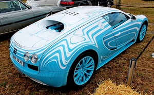 IMG_7193_Bugatti-16punt4-Veyron-Super-Sport_Ting&Tiger_2014-7993c