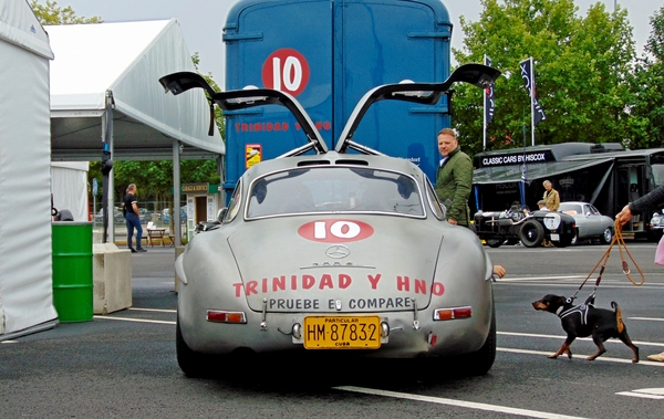 DSC03924_Mercedes-300SL-Coupé_W198_1954–1957-Cuban-racer_HM-87