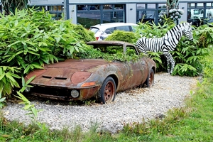 IMG_0308_Opel-GT_Rusty_Zebra=VoSS