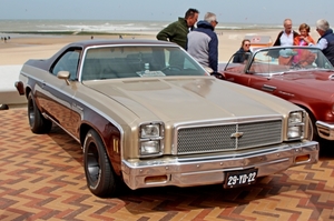 IMG_7857_Chevrolet-el-camino-pickup-V8-5735cc_1976_29-YD-22