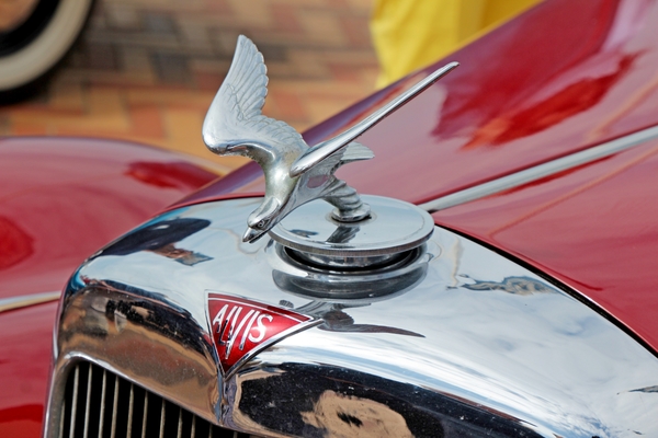 IMG_7837_Alvis-vogel-ornament