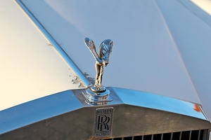 IMG_0659_Rolls-Royce-QQQ_wit_O-AGZ-845