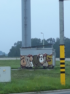 20240802_070407_Animals