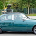 IMG_1018_Jaguar_groen_2x-man
