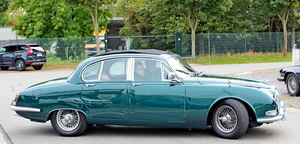 IMG_1018_Jaguar_groen_2x-man