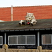 IMG_1373_2024-10-20_RAMc_Afsluitingsrit_onderweg_popny