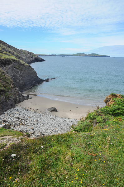 2-landschap-st-davids-18