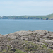 2-landschap-st-davids-30