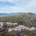 2-landschap-st-davids-31