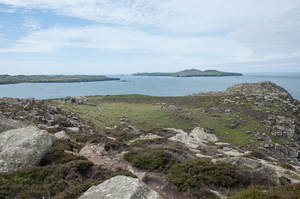 2-landschap-st-davids-33
