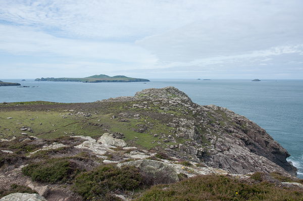 2-landschap-st-davids-34