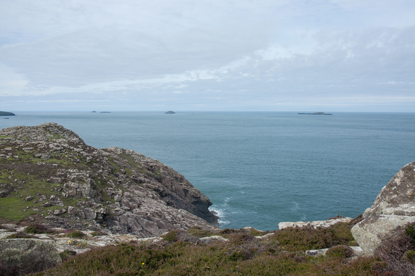 2-landschap-st-davids-35