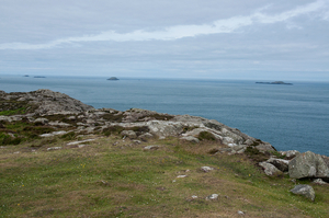 2-landschap-st-davids-37