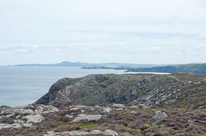 2-landschap-st-davids-40