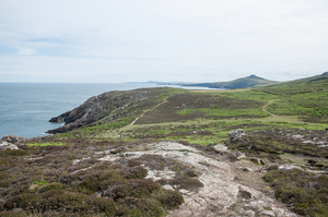 2-landschap-st-davids-42