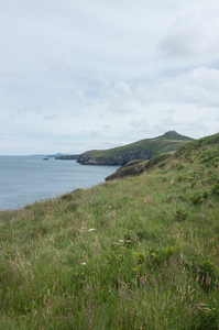 2-landschap-st-davids-56