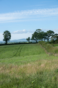 48-landschap