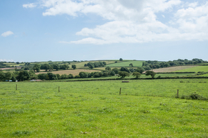 31-landschap