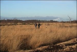 bargerveen (4)