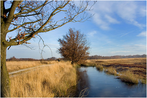 bargerveen (20)