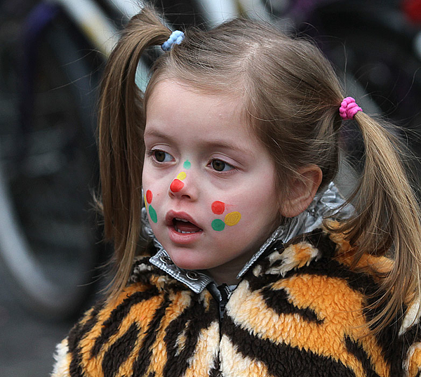 carnaval Sittard sinasappels 2013  (32)