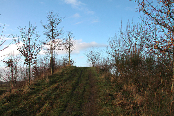 de poort van drenthe in coevorden (2)