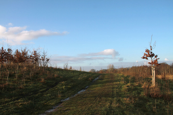 de poort van drenthe in coevorden (5)