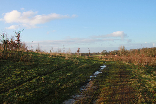 de poort van drenthe in coevorden (6)