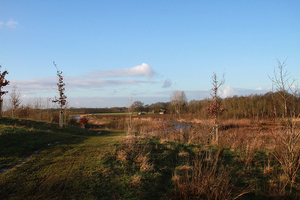 de poort van drenthe in coevorden (9)