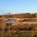 de poort van drenthe in coevorden (11)