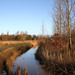 de poort van drenthe in coevorden (13)