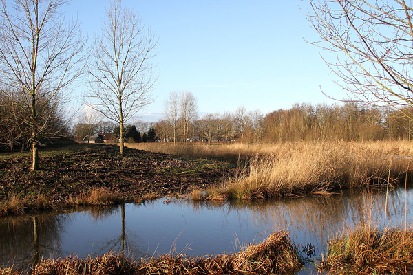 de poort van drenthe in coevorden (14)