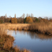 de poort van drenthe in coevorden (16)