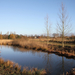 de poort van drenthe in coevorden (17)