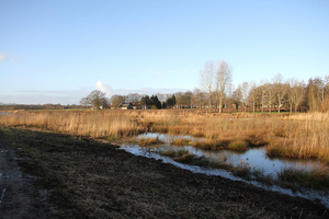 de poort van drenthe in coevorden (20)