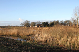 de poort van drenthe in coevorden (22)