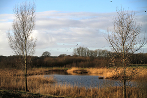 de poort van drenthe in coevorden (25)