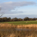 de poort van drenthe in coevorden (26)